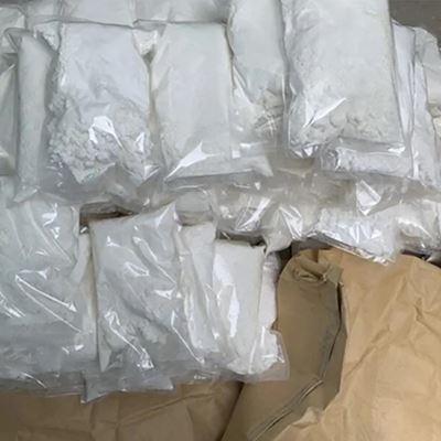 Tetrahydropalmatine powder picture gallery2